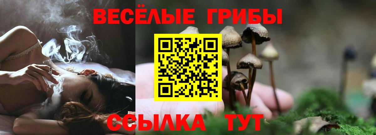 Стрежевой  Галлюциногенные грибы GOLDEN TEACHER  Вход с VPN  наркота  Псилоцибиновые грибы Cubensis 